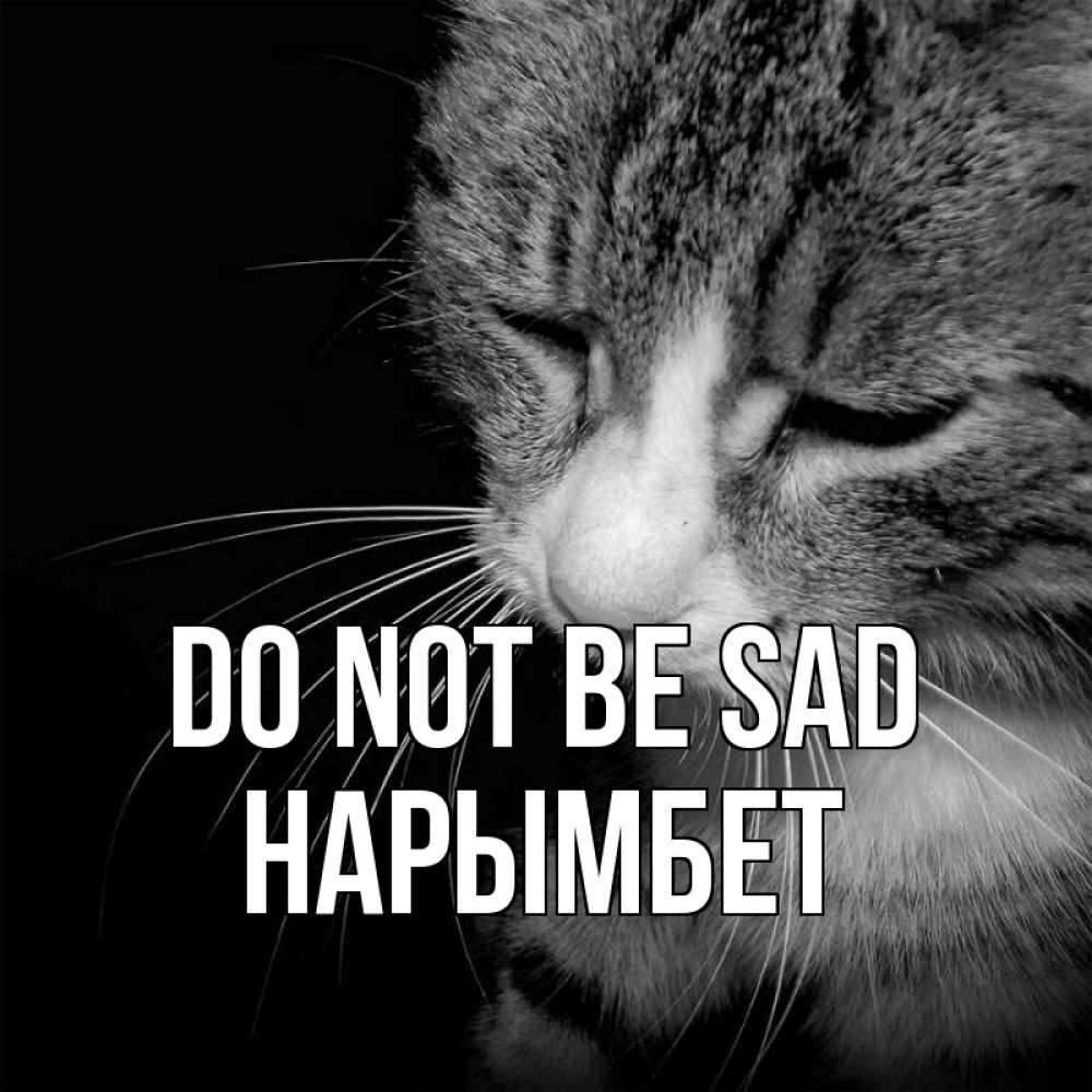 Greetings card с именем, Нарымбет Do not be sad грустный котик Greetings with text for free download 
