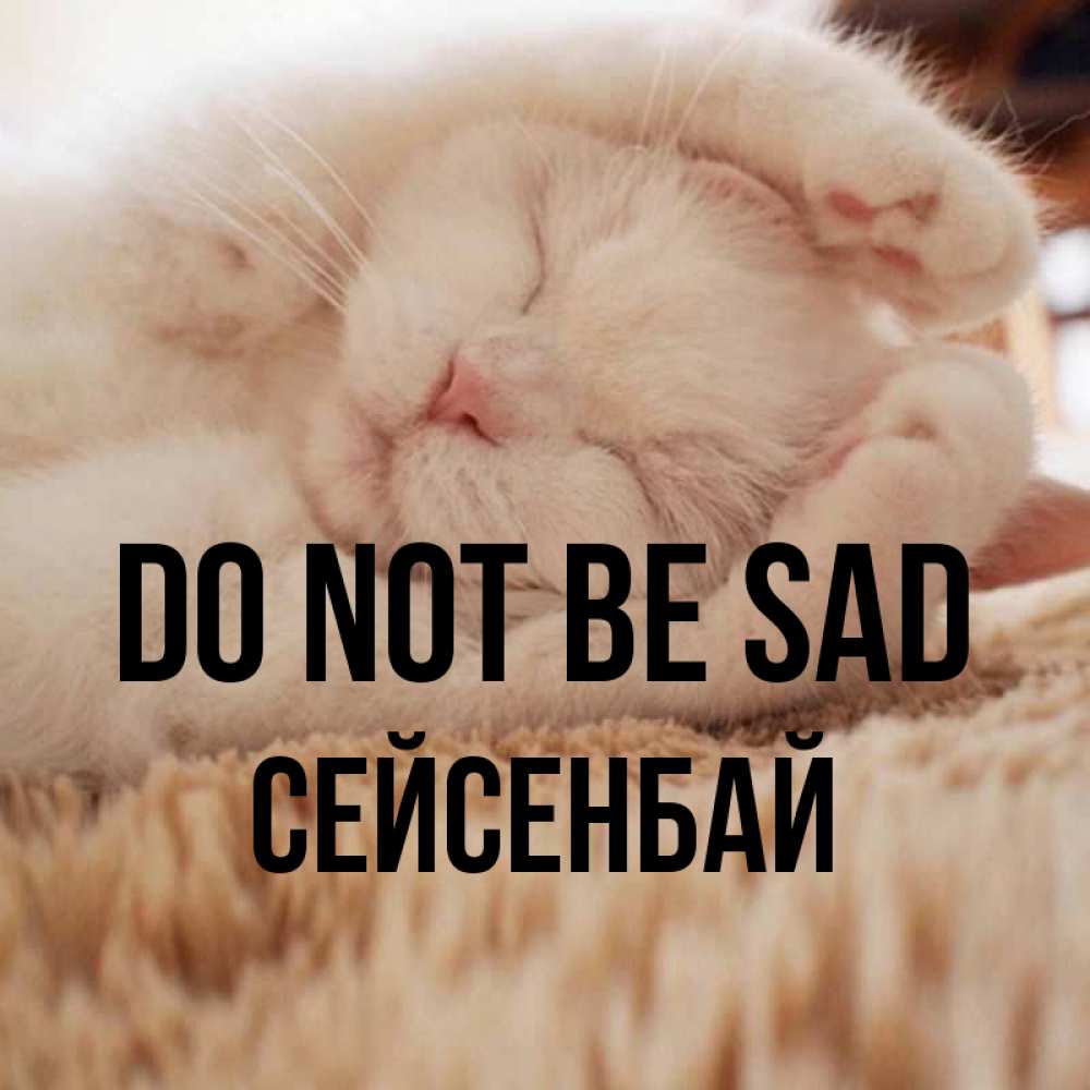 Greetings card с именем, СЕЙСЕНБАЙ Do not be sad Котенок спит Greetings with text for free download 