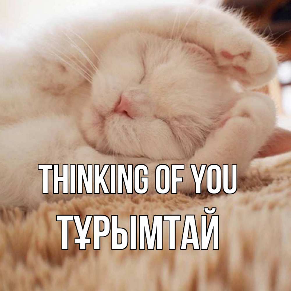 Greetings card с именем, ТҰРЫМТАЙ Thinking of you для любимой девушки милота Greetings with text for free download 