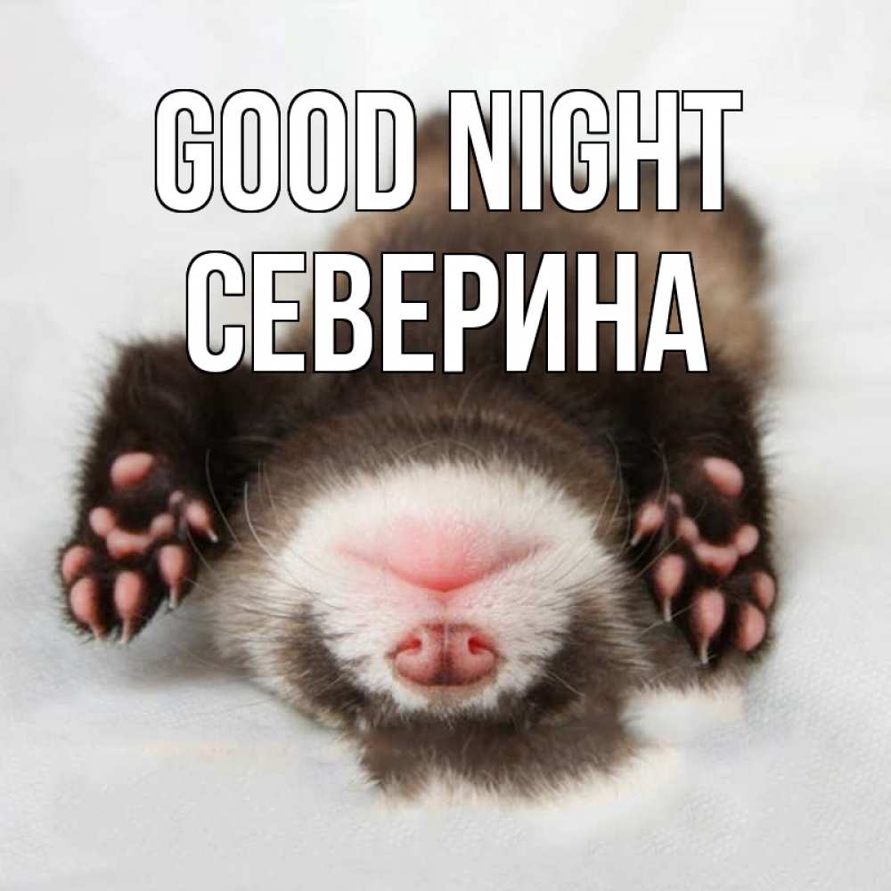 Greetings card с именем, Северина Good night зверек Greetings with text for free download 