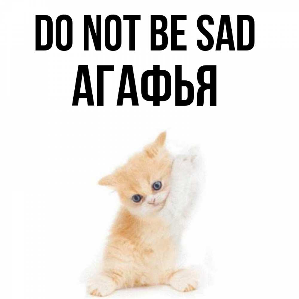 Greetings card с именем, Агафья Do not be sad просящий кот Greetings with text for free download 