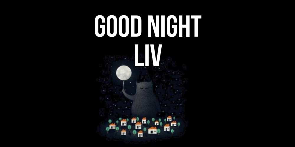 Greetings card с именем, Liv Good night кот,луна, ночь, звезды Greetings with text for free download 