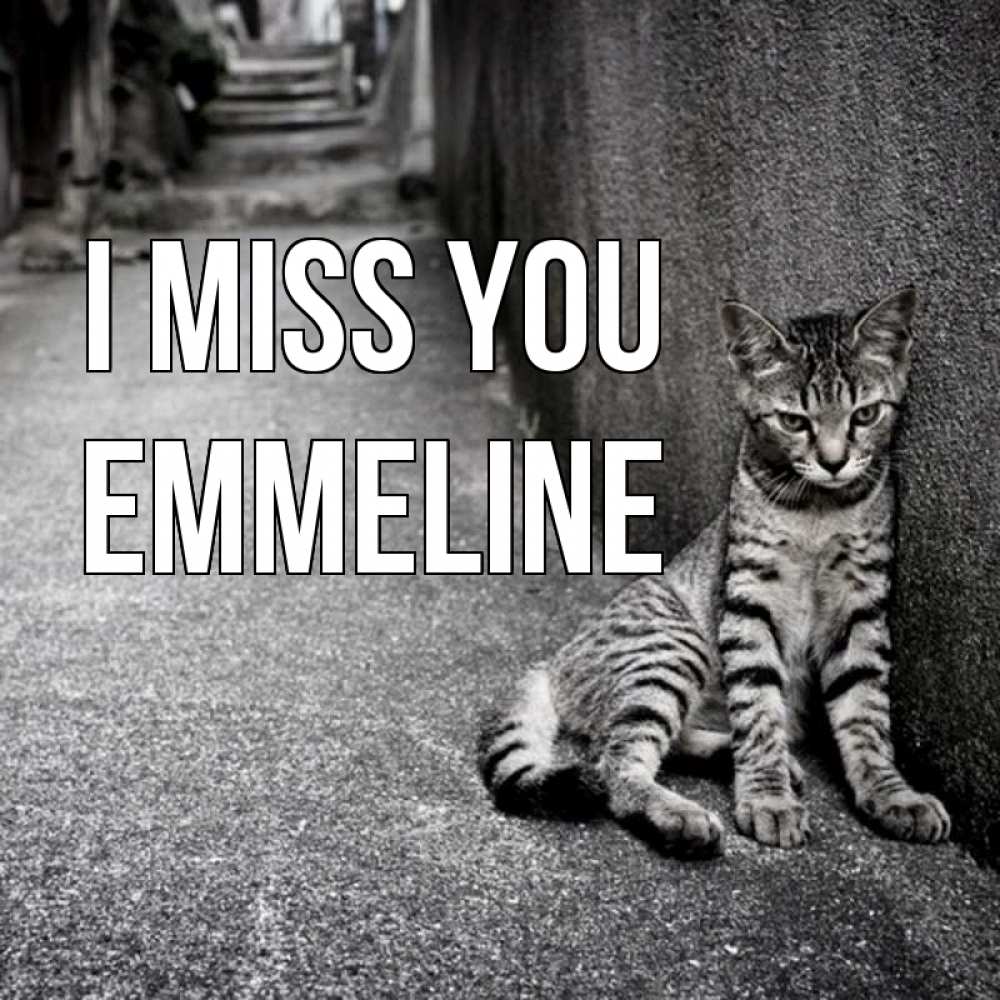 Greetings card с именем, Emmeline I miss you одиноко котику Greetings with text for free download 