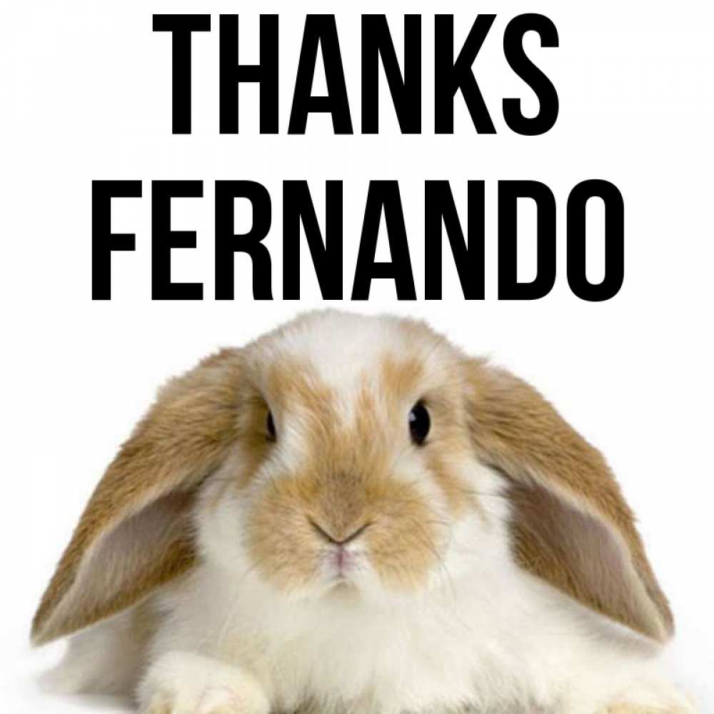 Greetings card с именем, Fernando Thanks коричнево белый заяц Greetings with text for free download 