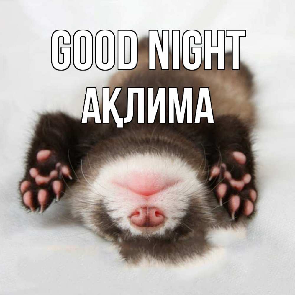 Greetings card с именем, АҚЛИМА Good night зверек Greetings with text for free download 