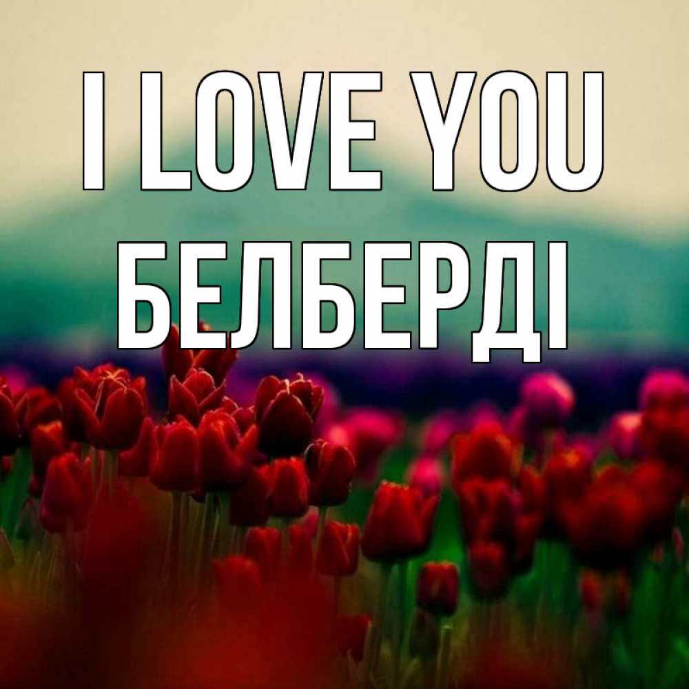 Greetings card с именем, Белберді I love you тюльпаны 4 Greetings with text for free download 