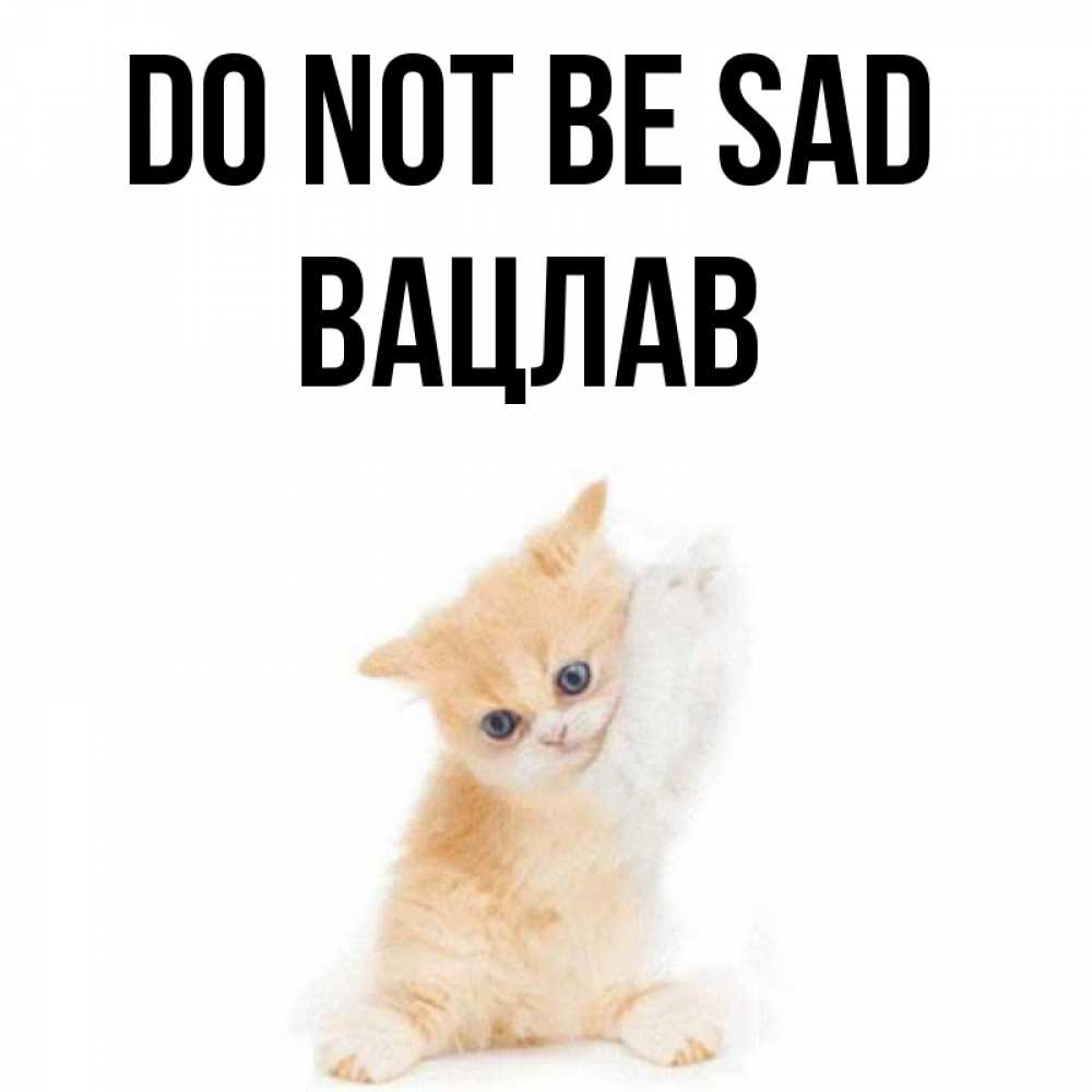 Greetings card с именем, Вацлав Do not be sad просящий кот Greetings with text for free download 