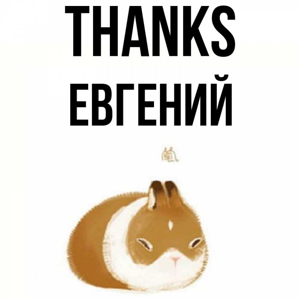 Greetings card с именем, Евгений Thanks коричнево белый домашний питомец Greetings with text for free download 