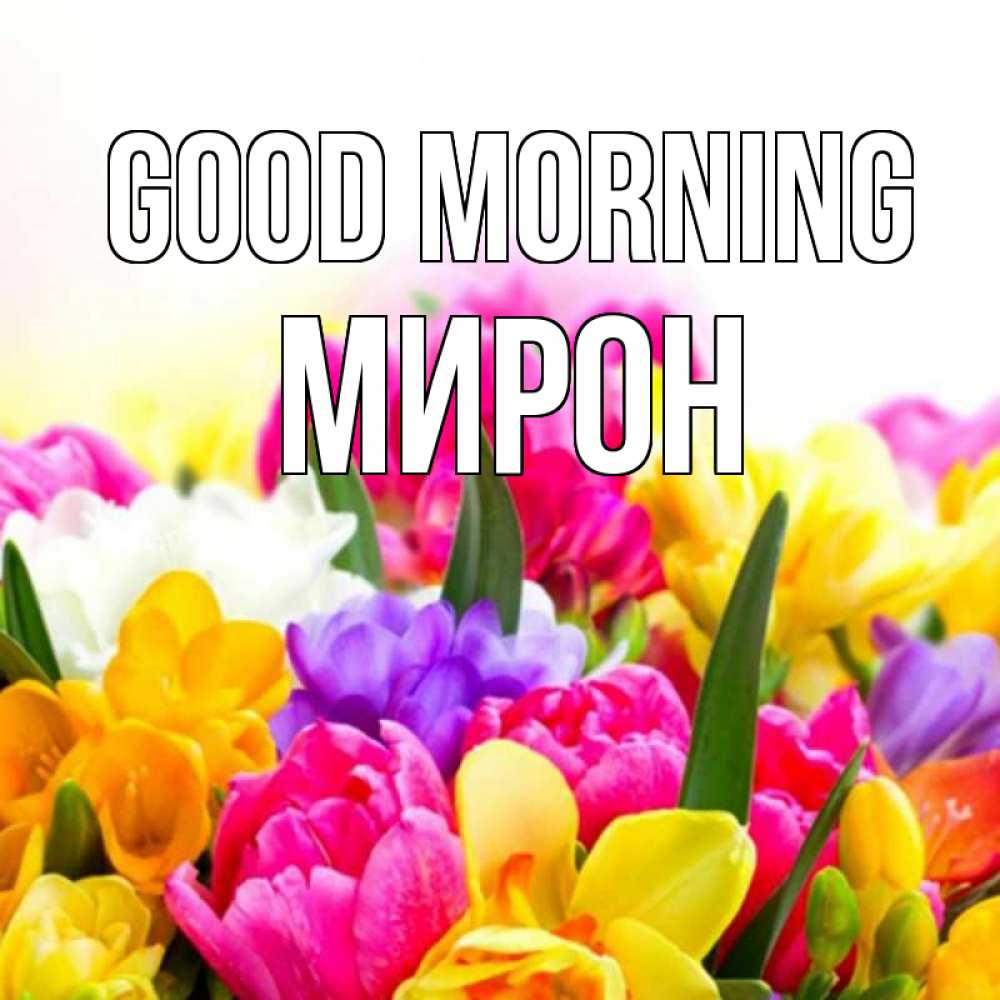 Greetings card с именем, МИРОН Good morning создать открытку со свое подписью Greetings with text for free download 