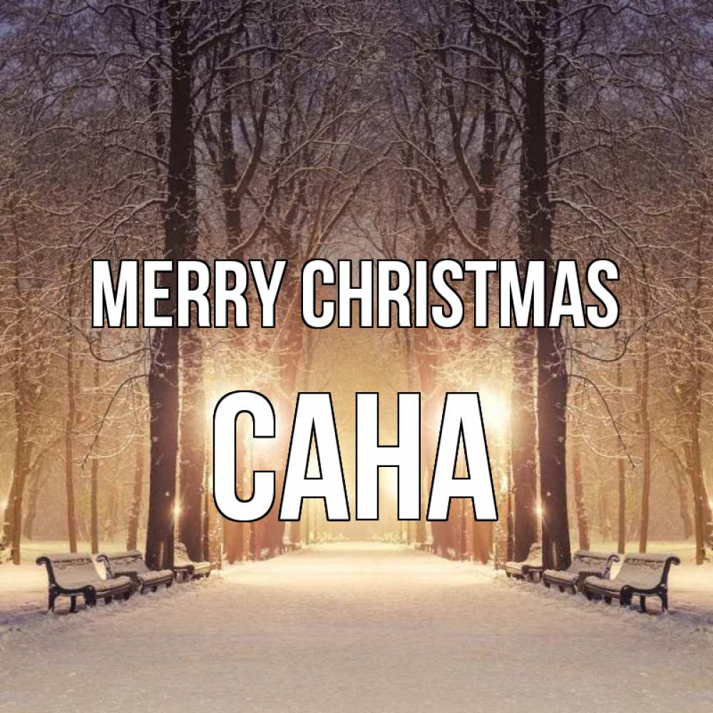 Greetings card с именем, САНА Merry Christmas зима, парк, фонарь, лес Greetings with text for free download 