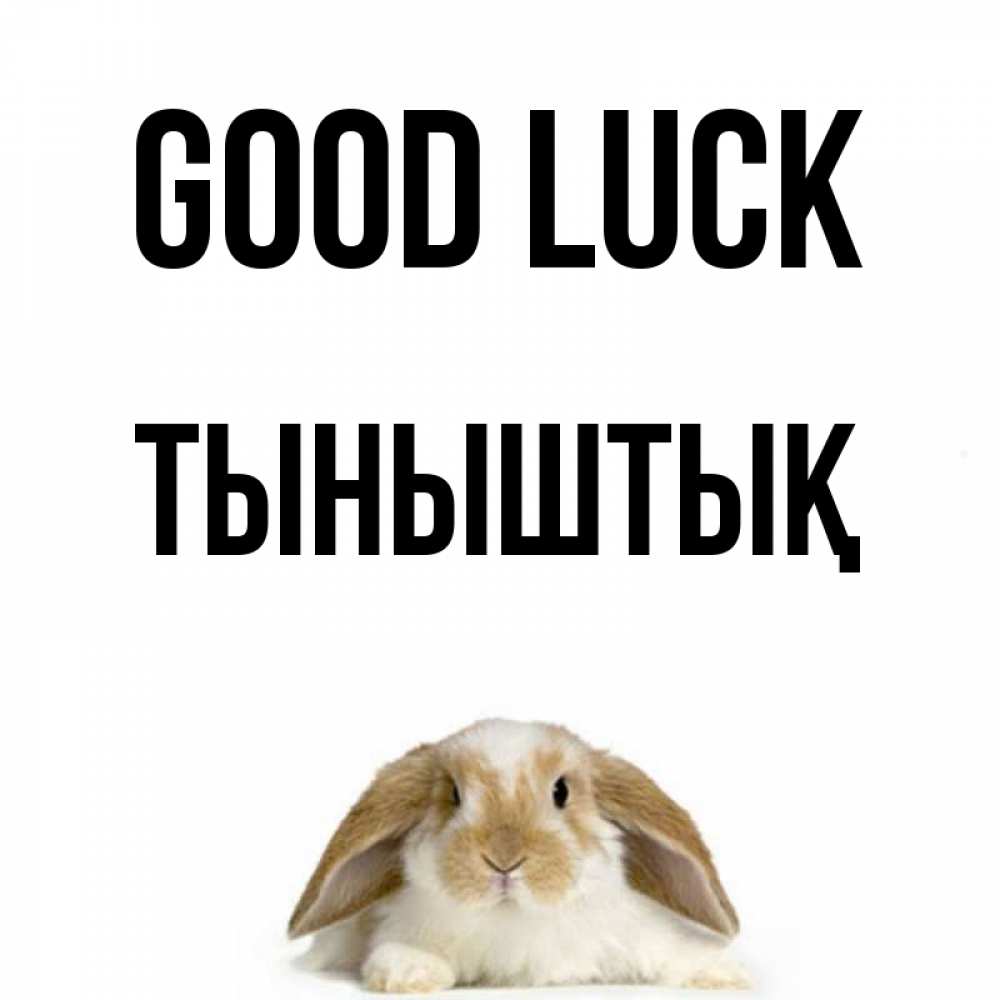 Greetings card с именем, ТЫНЫШТЫҚ Good luck открытки с произвольным текстом который можно вставить в открытку и создать ее самостоятельно бесплатно онлайн Greetings with text for free download 