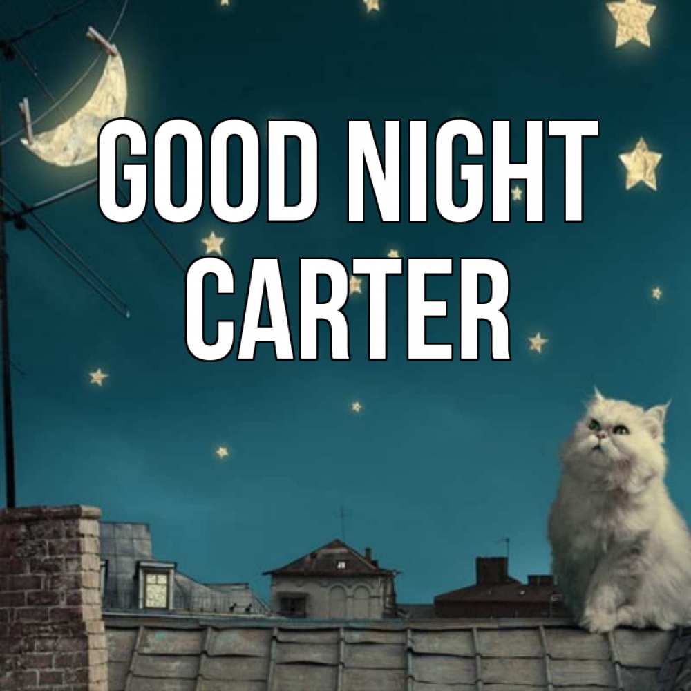 Greetings card с именем, Carter Good night белый кот сидит на крыше Greetings with text for free download 