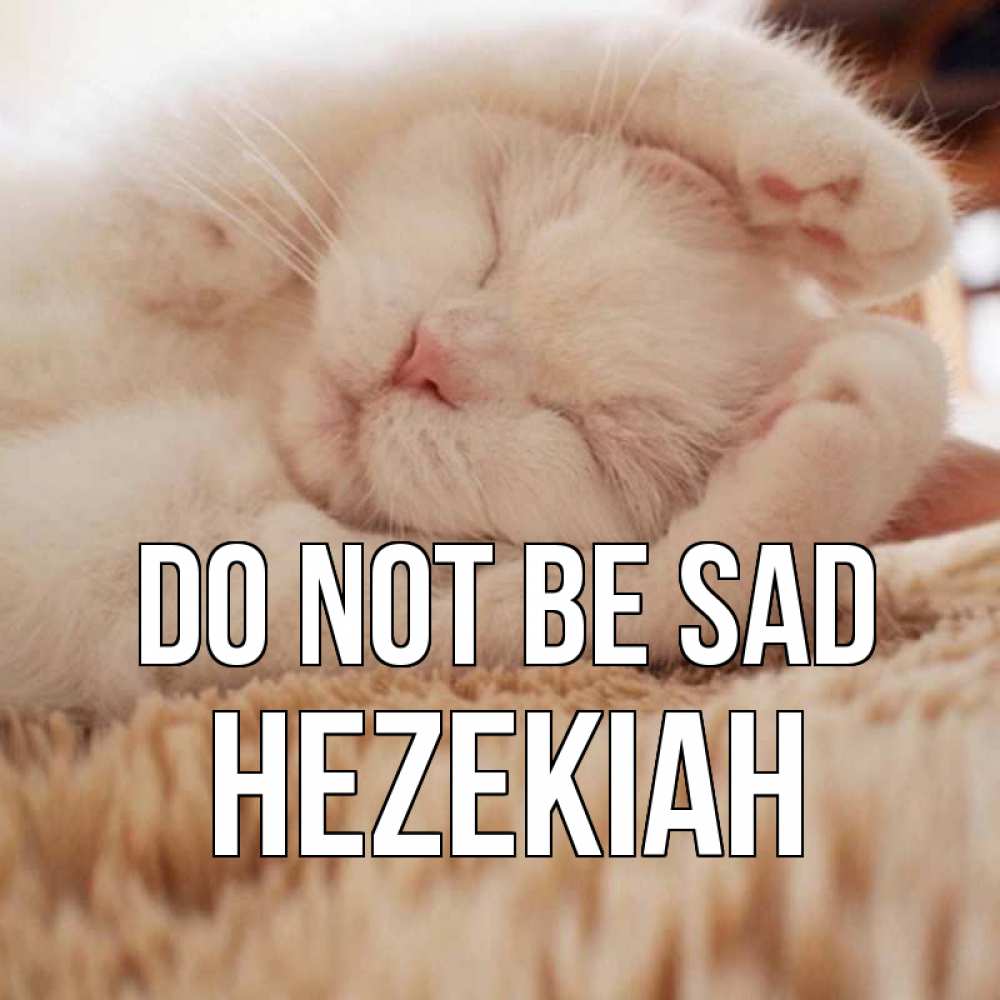 Greetings card с именем, Hezekiah Do not be sad белый кот Greetings with text for free download 