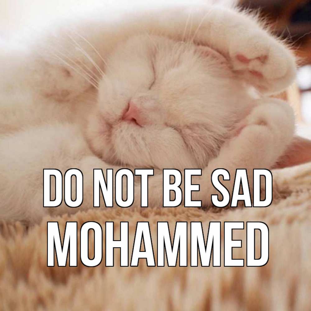 Greetings card с именем, Mohammed Do not be sad белый кот Greetings with text for free download 