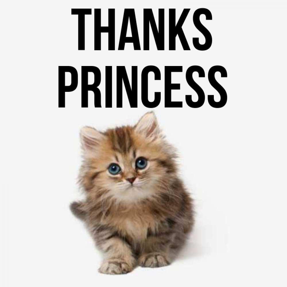Greetings card с именем, Princess Thanks пушистый котик Greetings with text for free download 