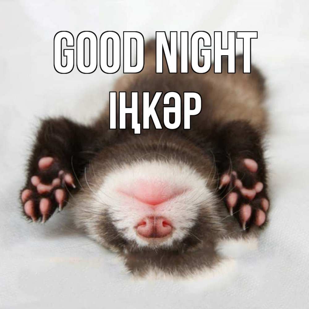 Greetings card с именем, ІҢКӘР Good night зверек Greetings with text for free download 