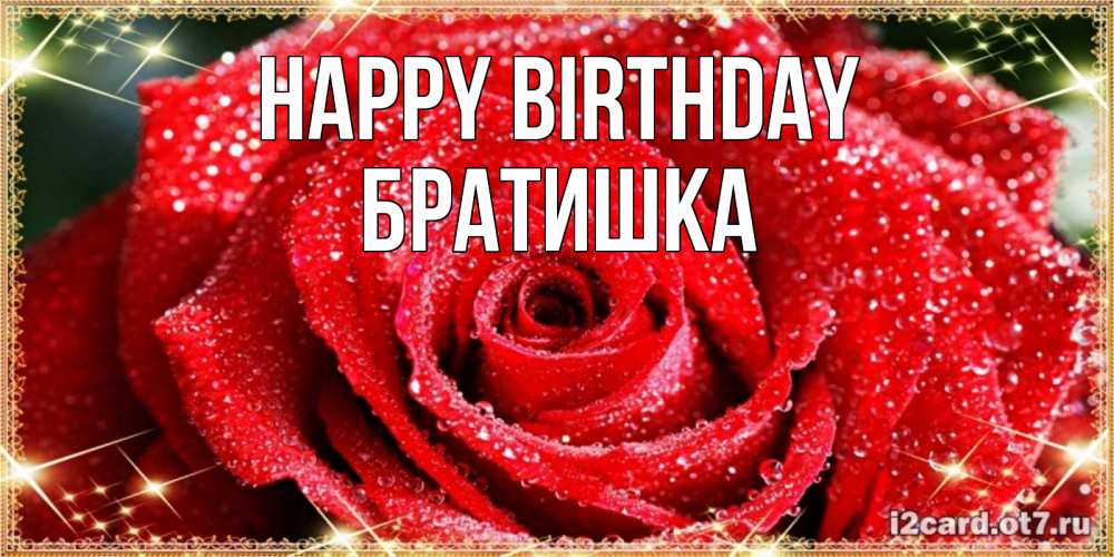 Greetings card с именем, Братишка Happy Birthday роса и роза. открытка с красивой розой Greetings with text for free download 