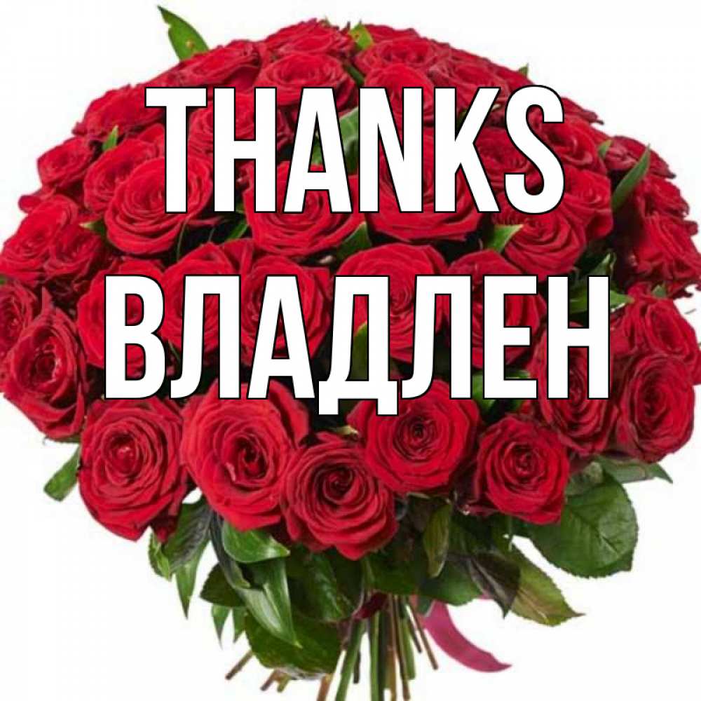 Greetings card с именем, Владлен Thanks букет красных роз Greetings with text for free download 