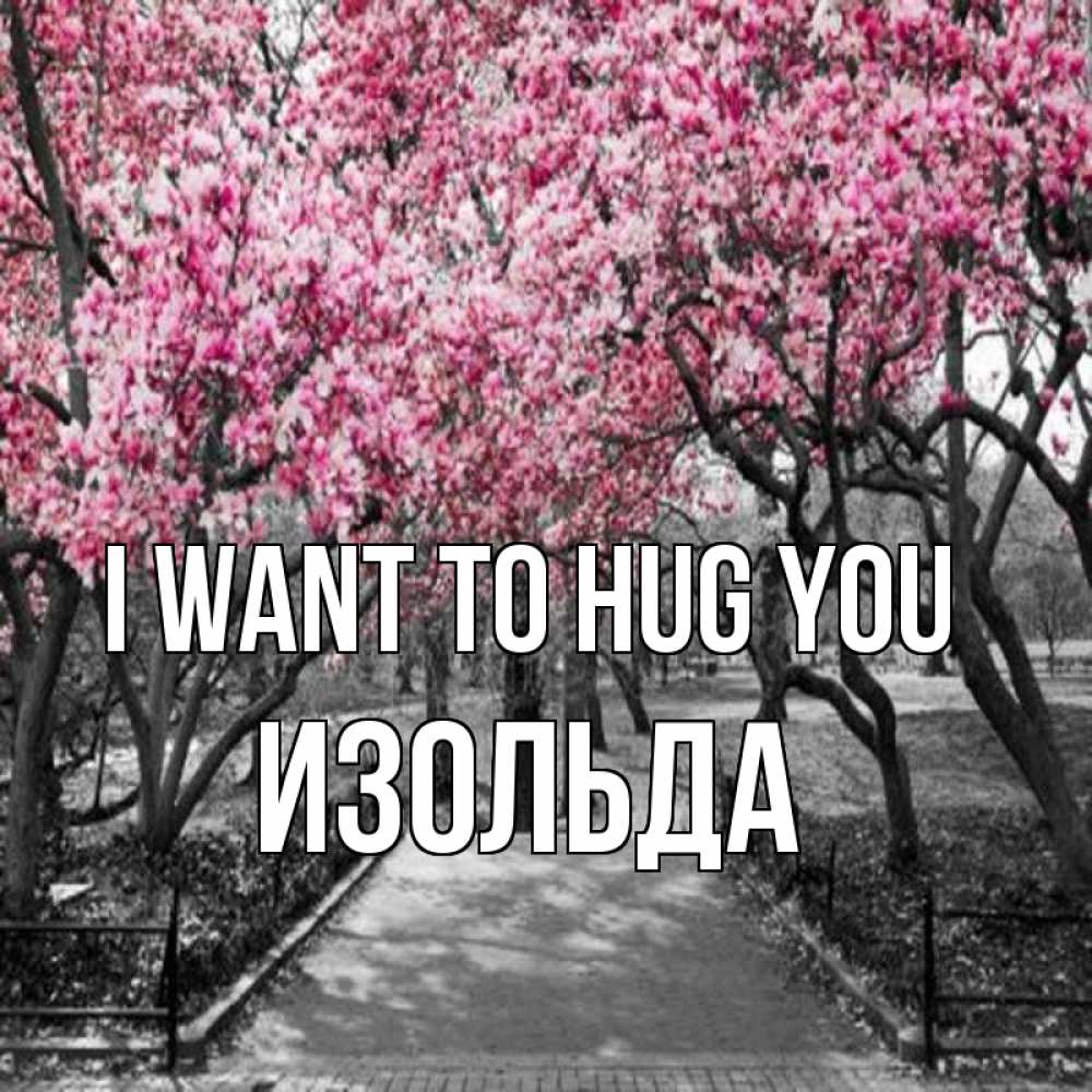 Greetings card с именем, Изольда I want to hug you обработанное фото Greetings with text for free download 