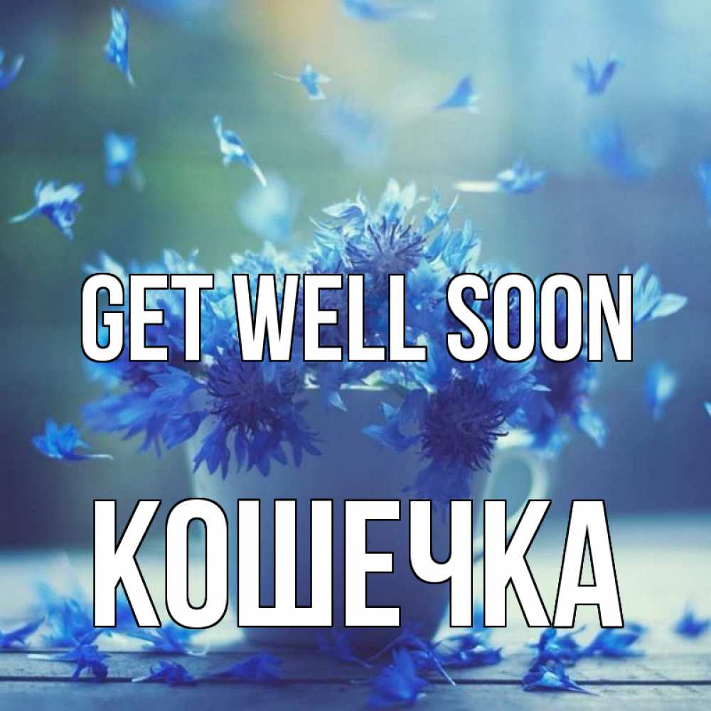 Greetings card с именем, Кошечка Get well soon кружка с зельем и цветами Greetings with text for free download 