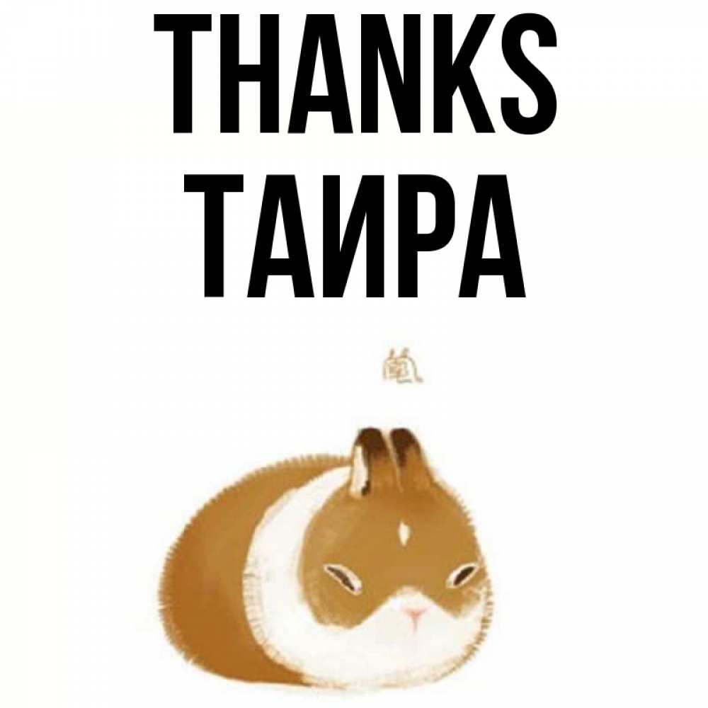 Greetings card с именем, Таира Thanks коричнево белый домашний питомец Greetings with text for free download 