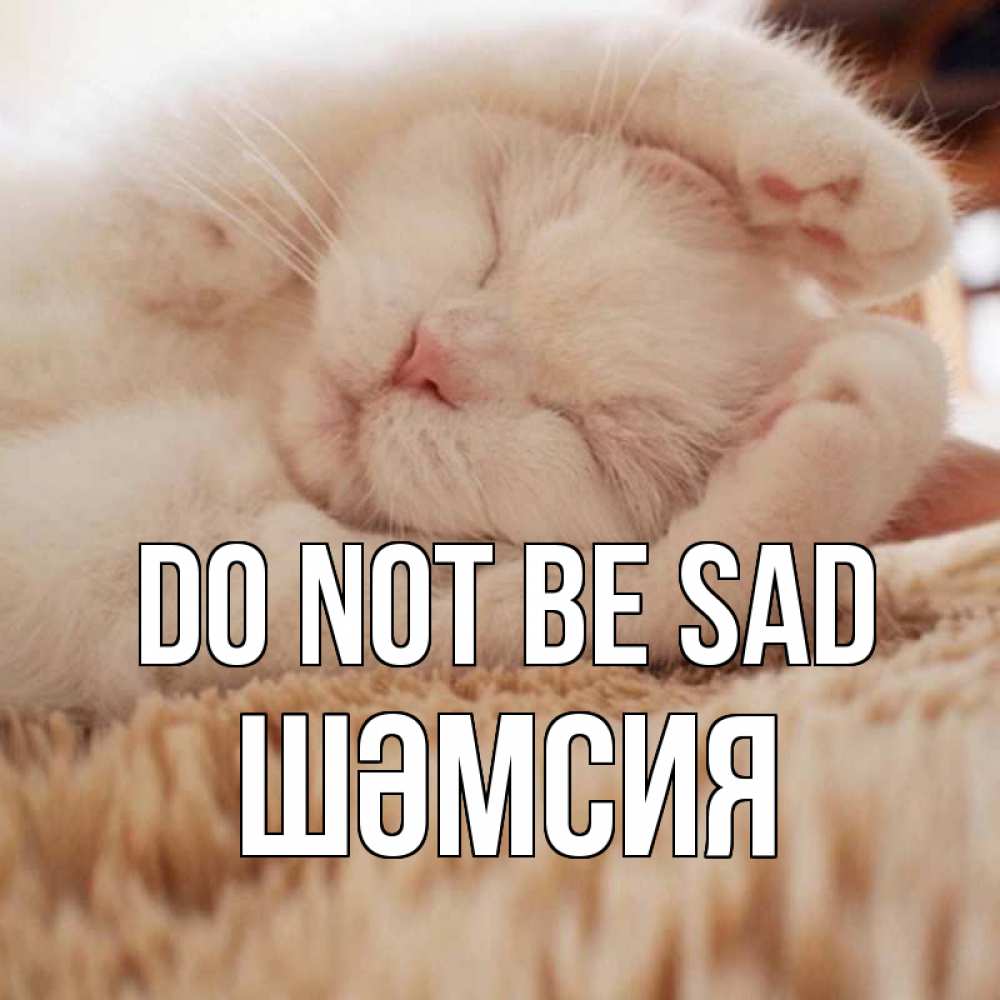 Greetings card с именем, ШӘМСИЯ Do not be sad белый кот Greetings with text for free download 