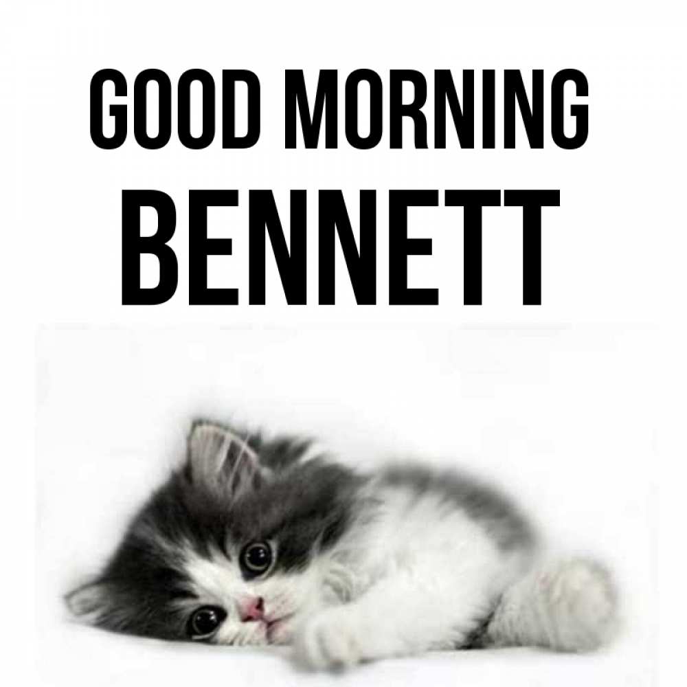 Greetings card с именем, Bennett Good morning кот лапки Greetings with text for free download 