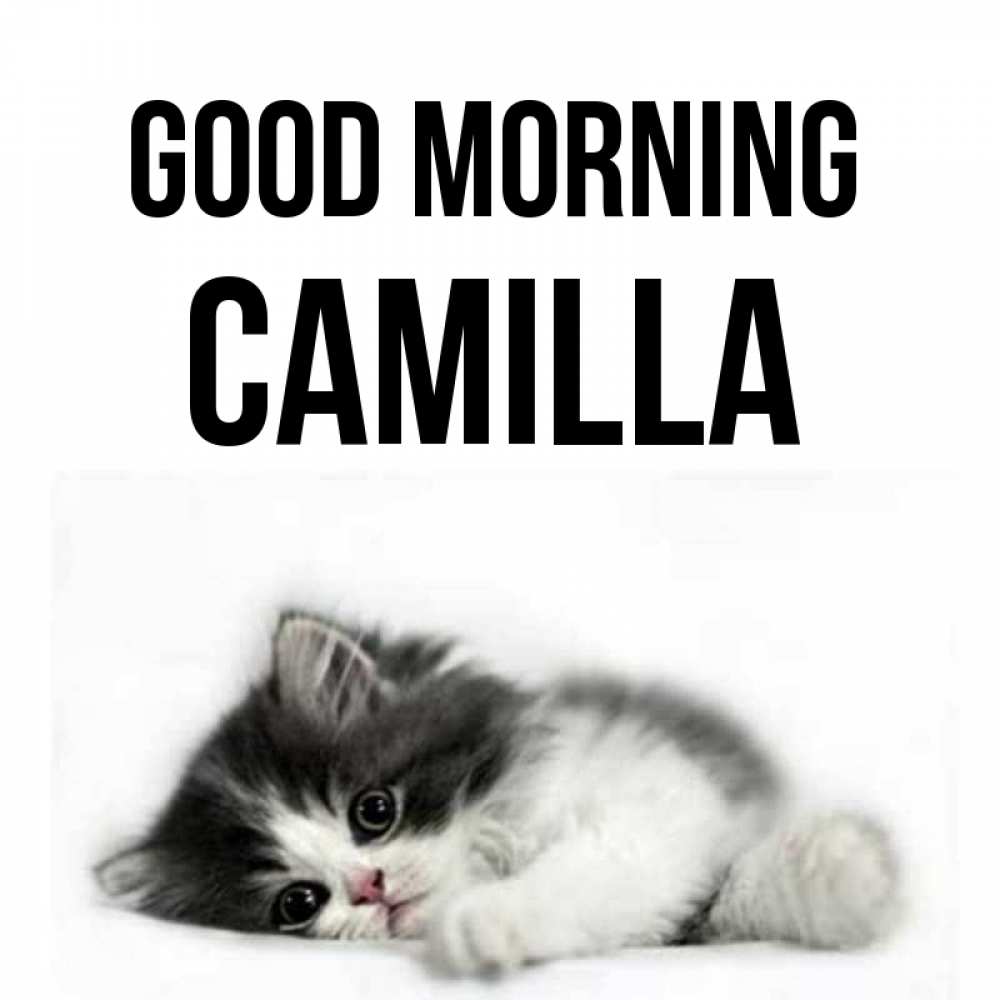 Greetings card с именем, Camilla Good morning кот лапки Greetings with text for free download 