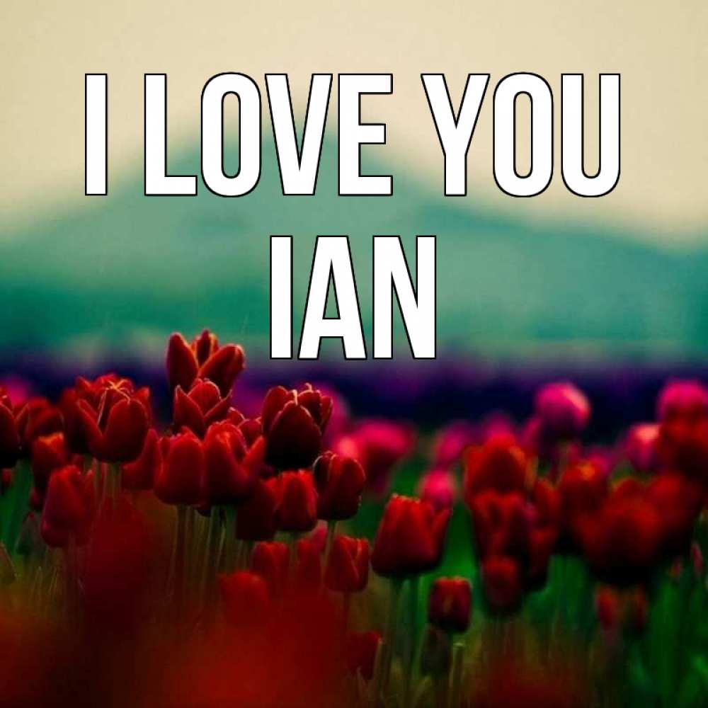 Greetings card с именем, Ian I love you тюльпаны 4 Greetings with text for free download 