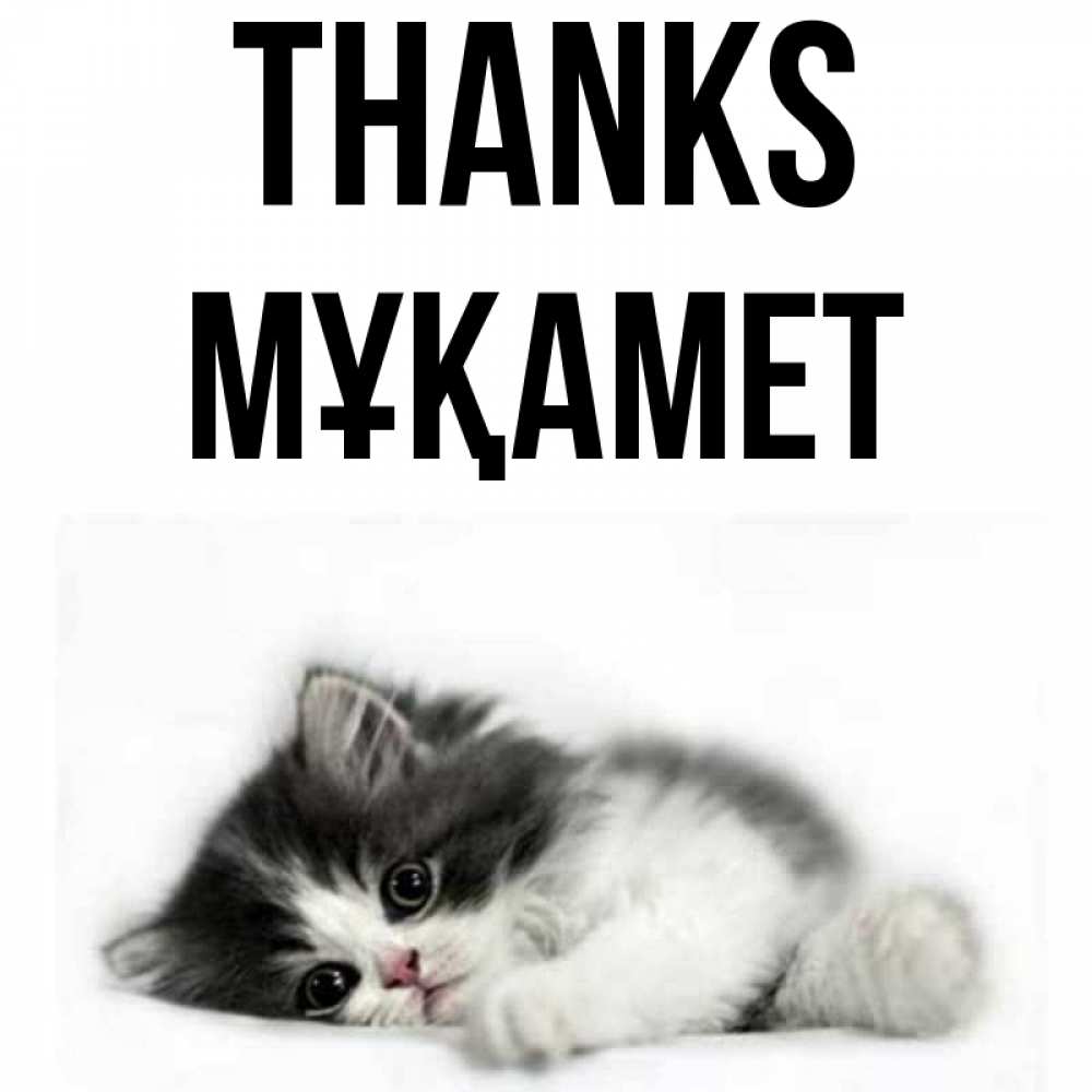 Greetings card с именем, МҰҚАМЕТ Thanks черный и белый кот Greetings with text for free download 