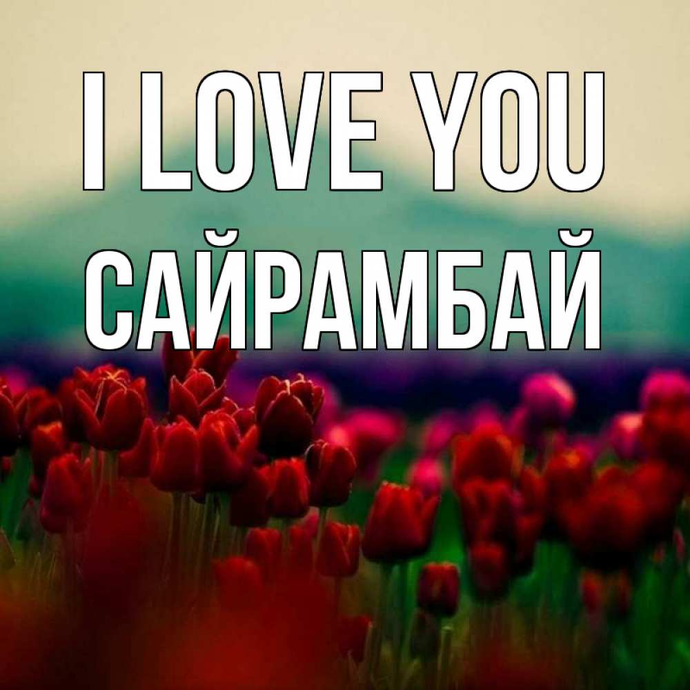 Greetings card с именем, САЙРАМБАЙ I love you тюльпаны 4 Greetings with text for free download 