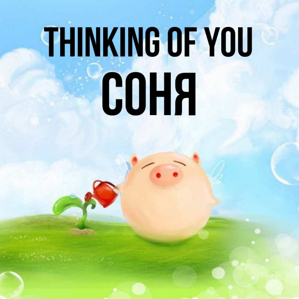 Greetings card с именем, Соня Thinking of you позитивная свинюшка Greetings with text for free download 