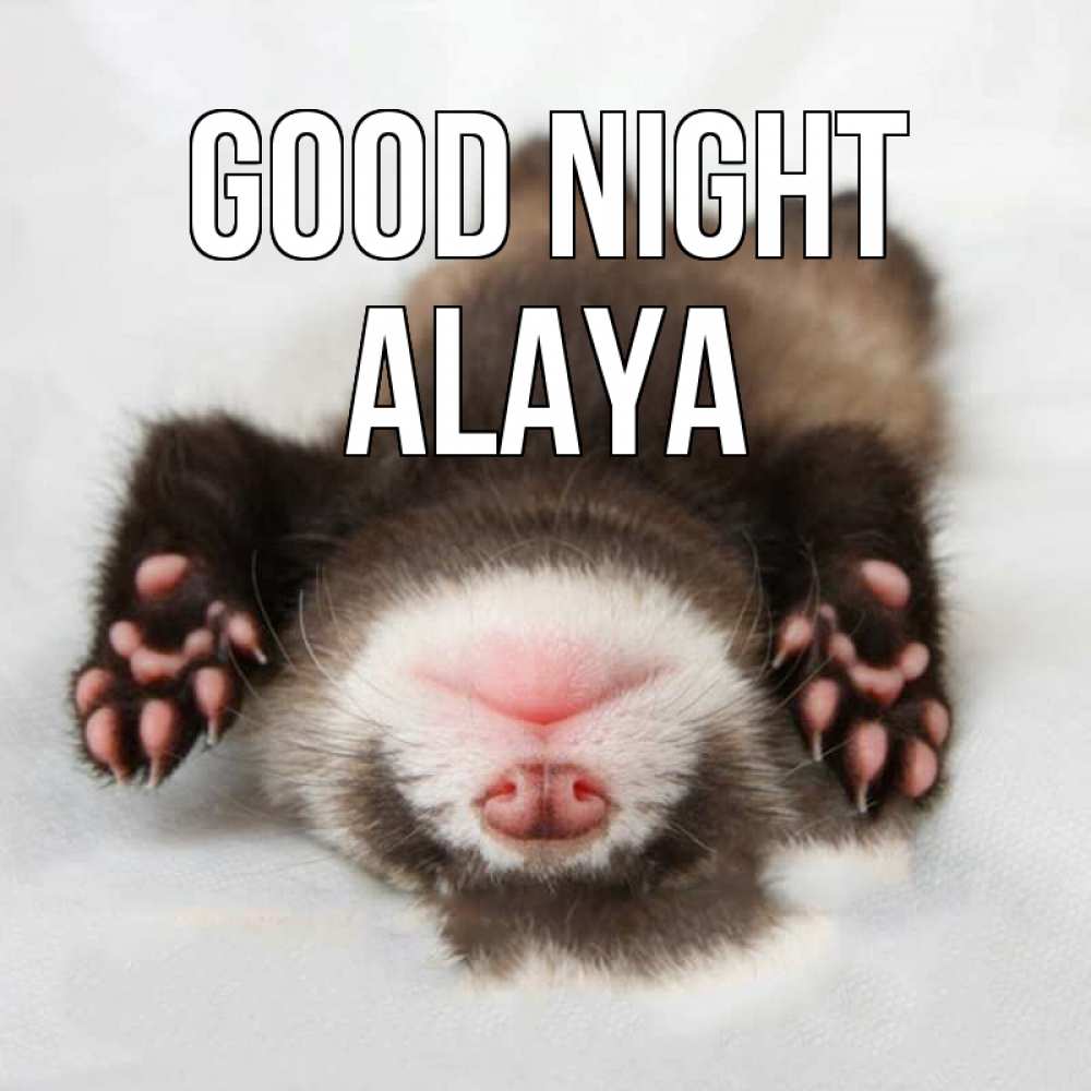 Greetings card с именем, Alaya Good night зверек Greetings with text for free download 