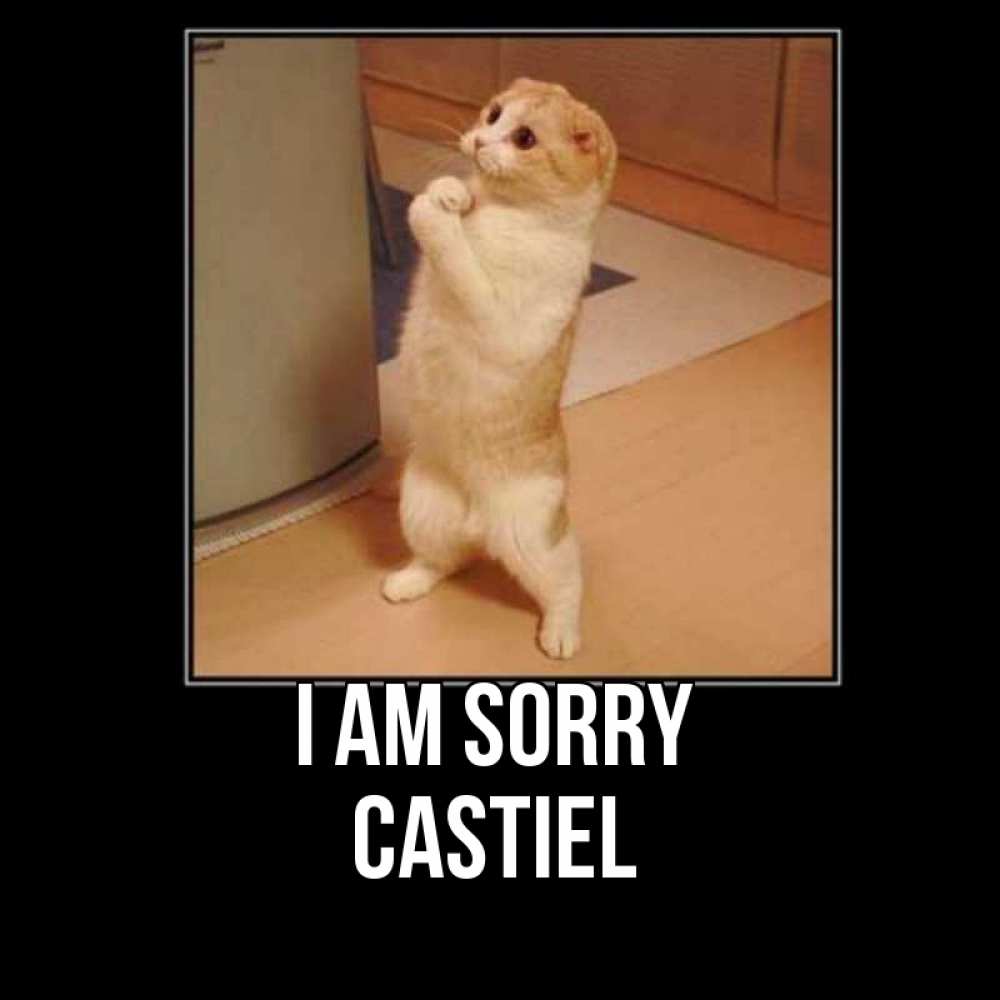 Greetings card с именем, Castiel I am sorry открытка с милым несчастным котиком просящим прощения Greetings with text for free download 