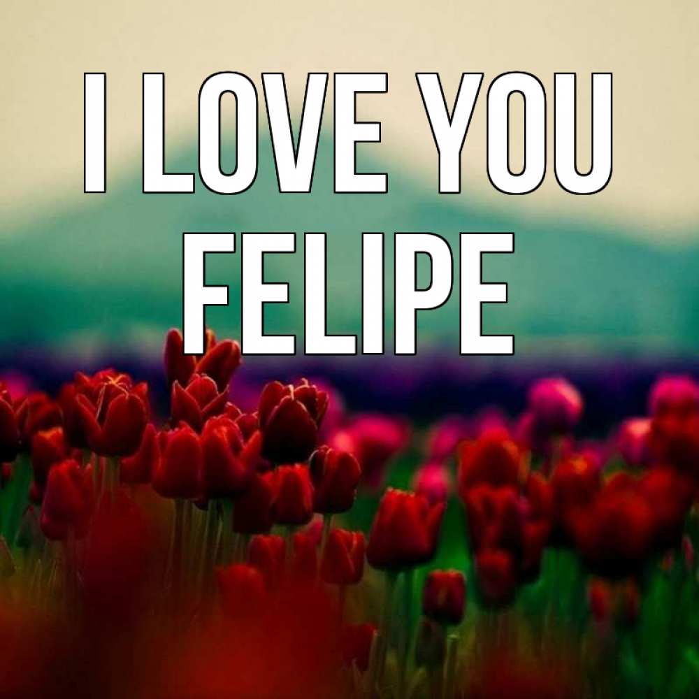 Greetings card с именем, Felipe I love you тюльпаны 4 Greetings with text for free download 