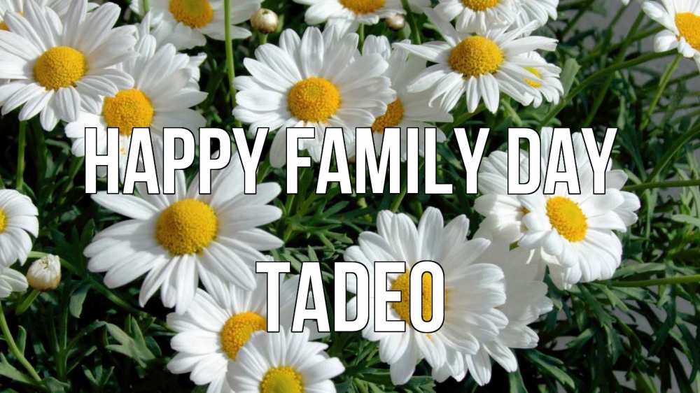 Greetings card с именем, Tadeo happy family day с днем семьи Greetings with text for free download 