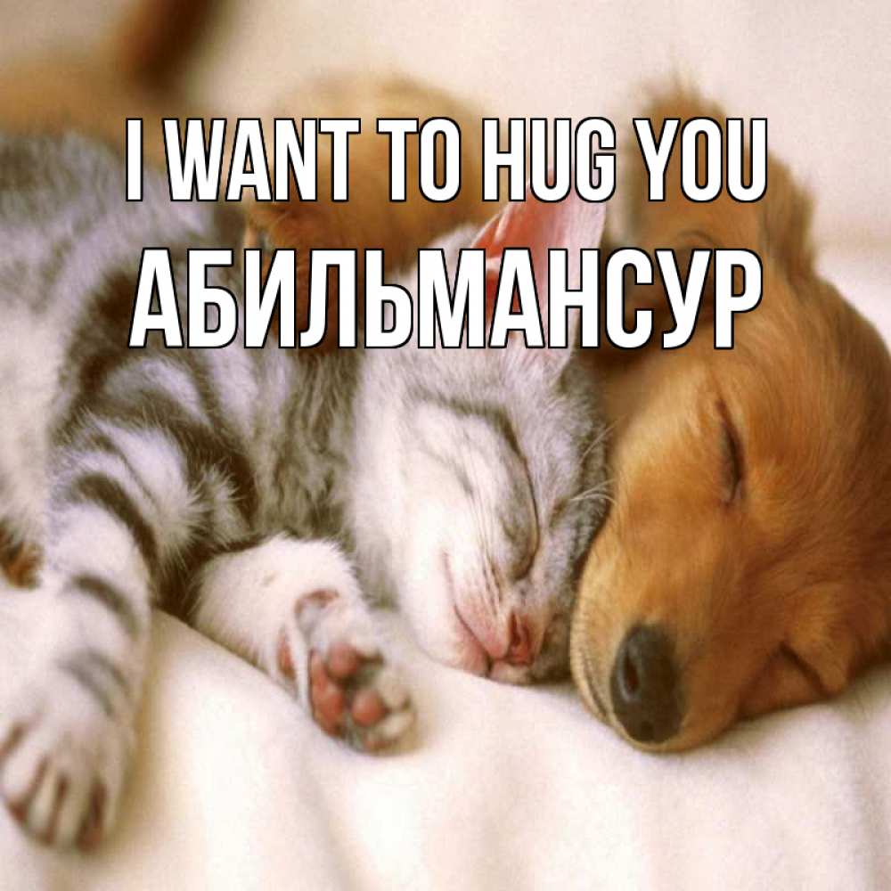 Greetings card с именем, Абильмансур I want to hug you пес и котенок Greetings with text for free download 