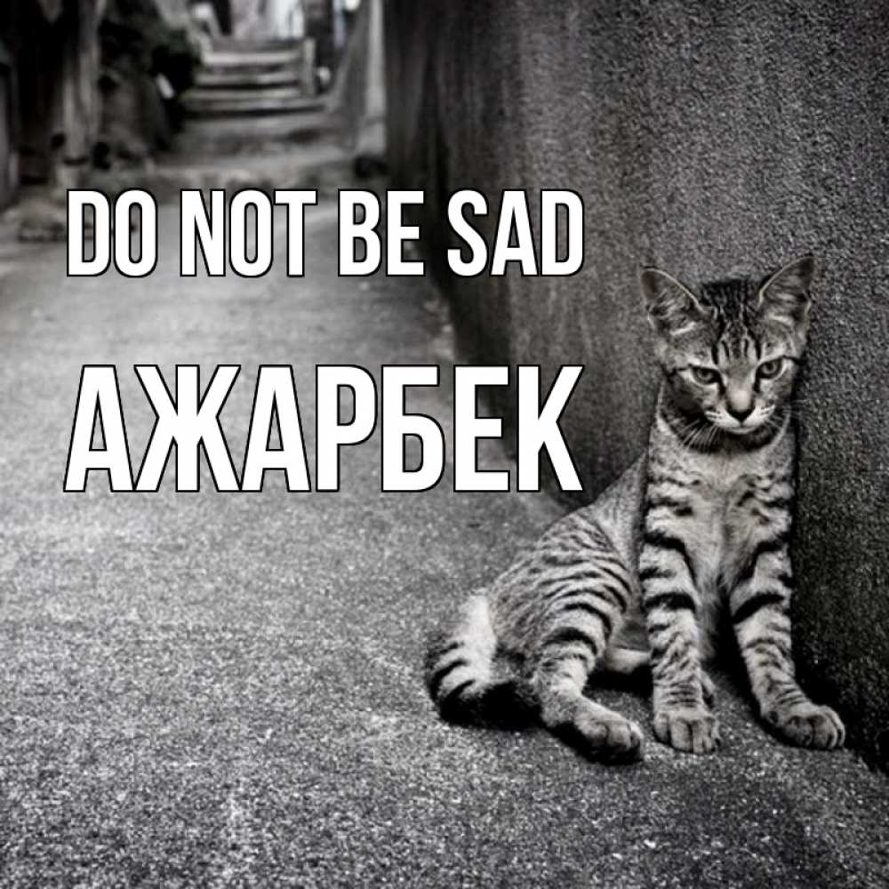 Greetings card с именем, Ажарбек Do not be sad скучающий котик Greetings with text for free download 