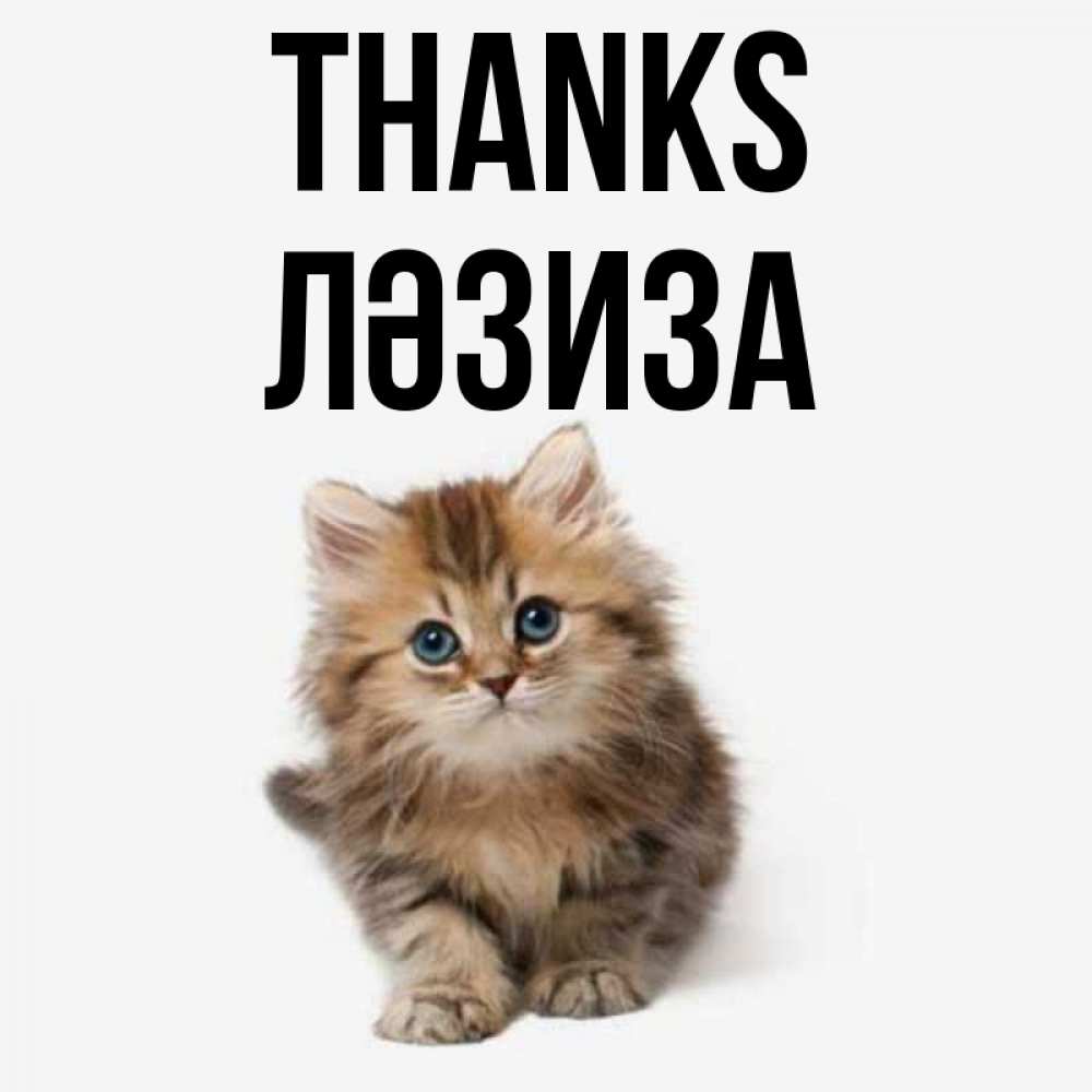 Greetings card с именем, ЛӘЗИЗА Thanks пушистый котик Greetings with text for free download 