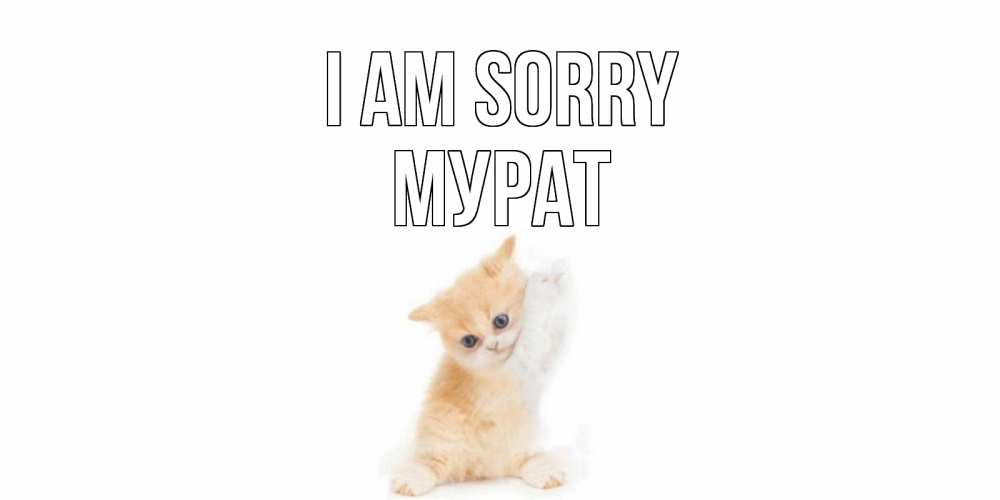 Greetings card с именем, Мурат I am sorry кот Greetings with text for free download 