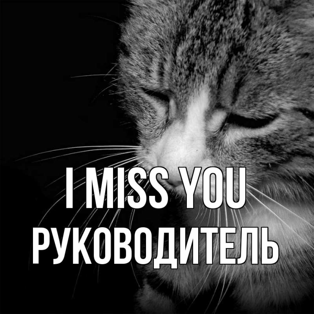 Greetings card с именем, Руководитель I miss you мне скучно Greetings with text for free download 