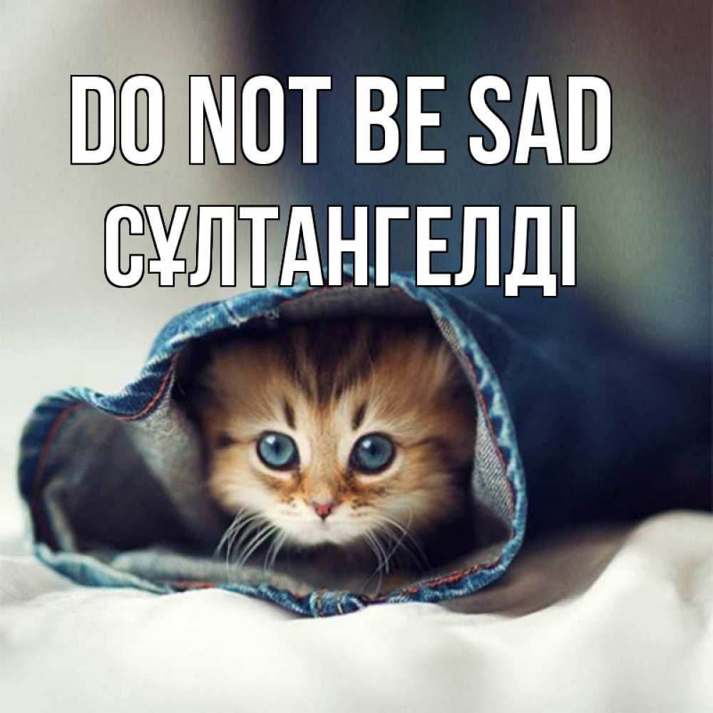 Greetings card с именем, СҰЛТАНГЕЛДІ Do not be sad рыжик котик Greetings with text for free download 