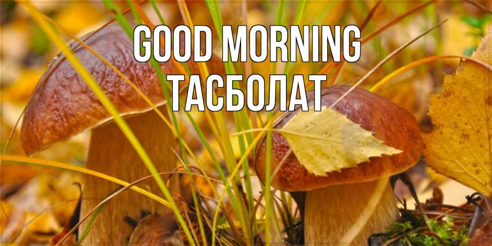 Greetings card с именем, ТАСБОЛАТ Good morning осенние грибы Greetings with text for free download 
