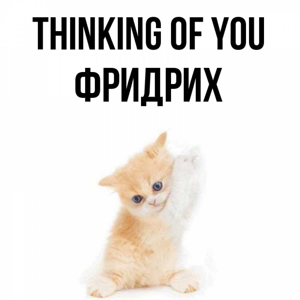 Greetings card с именем, Фридрих Thinking of you зверушки и милота Greetings with text for free download 