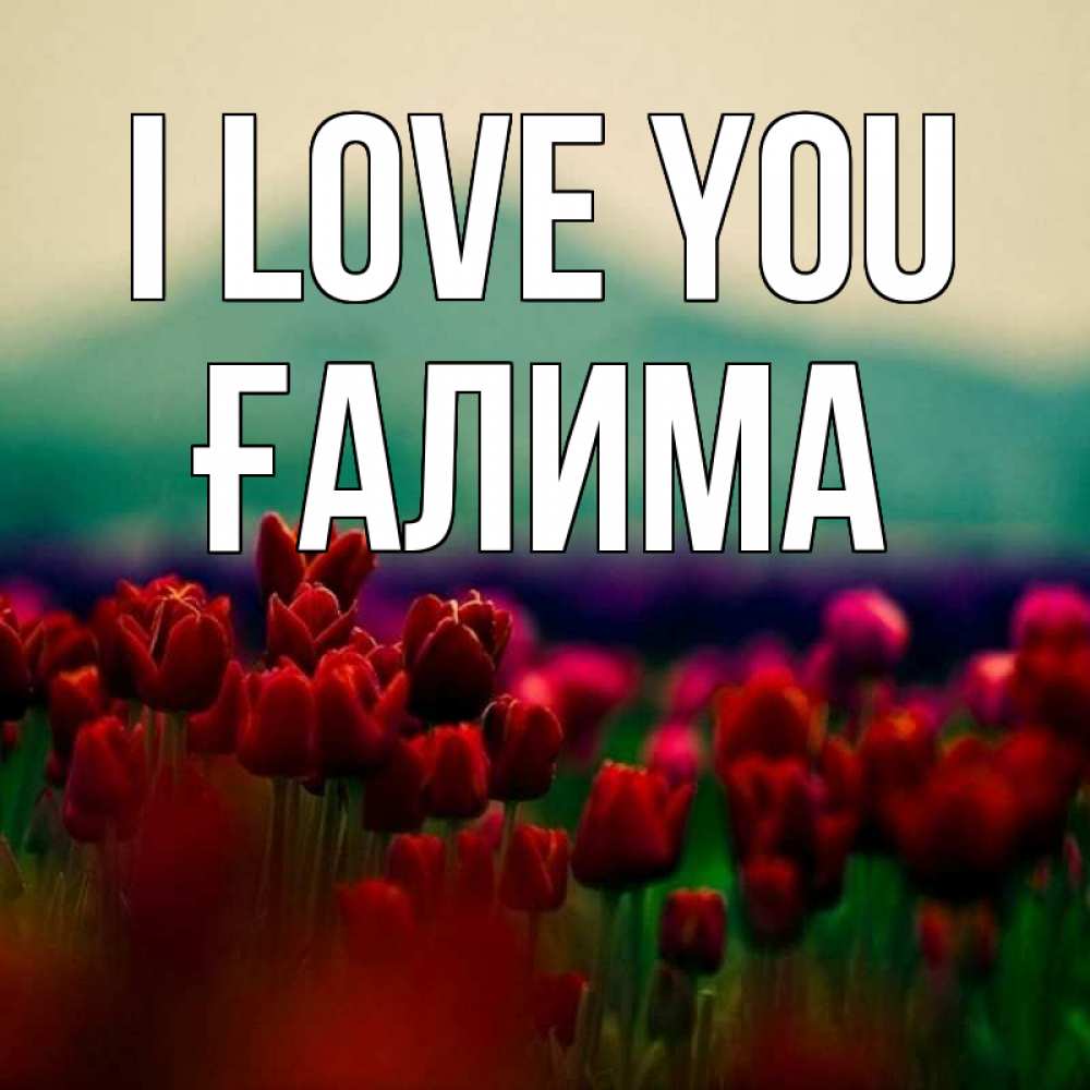 Greetings card с именем, ҒАЛИМА I love you тюльпаны 4 Greetings with text for free download 