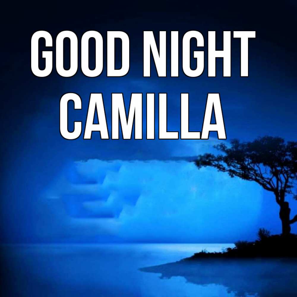 Greetings card с именем, Camilla Good night ночное побережье Greetings with text for free download 