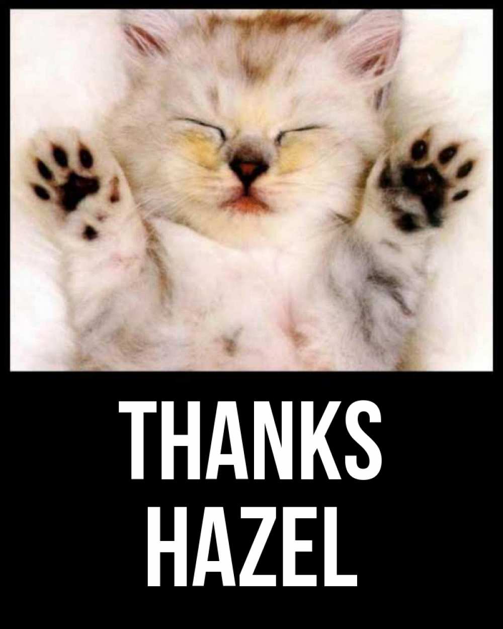 Greetings card с именем, Hazel Thanks маленький котенок Greetings with text for free download 