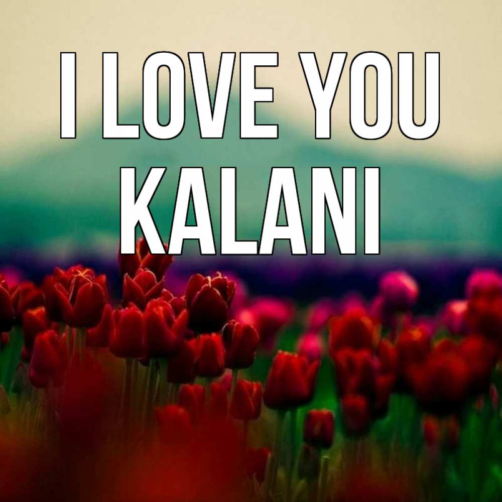 Greetings card с именем, Kalani I love you тюльпаны 4 Greetings with text for free download 