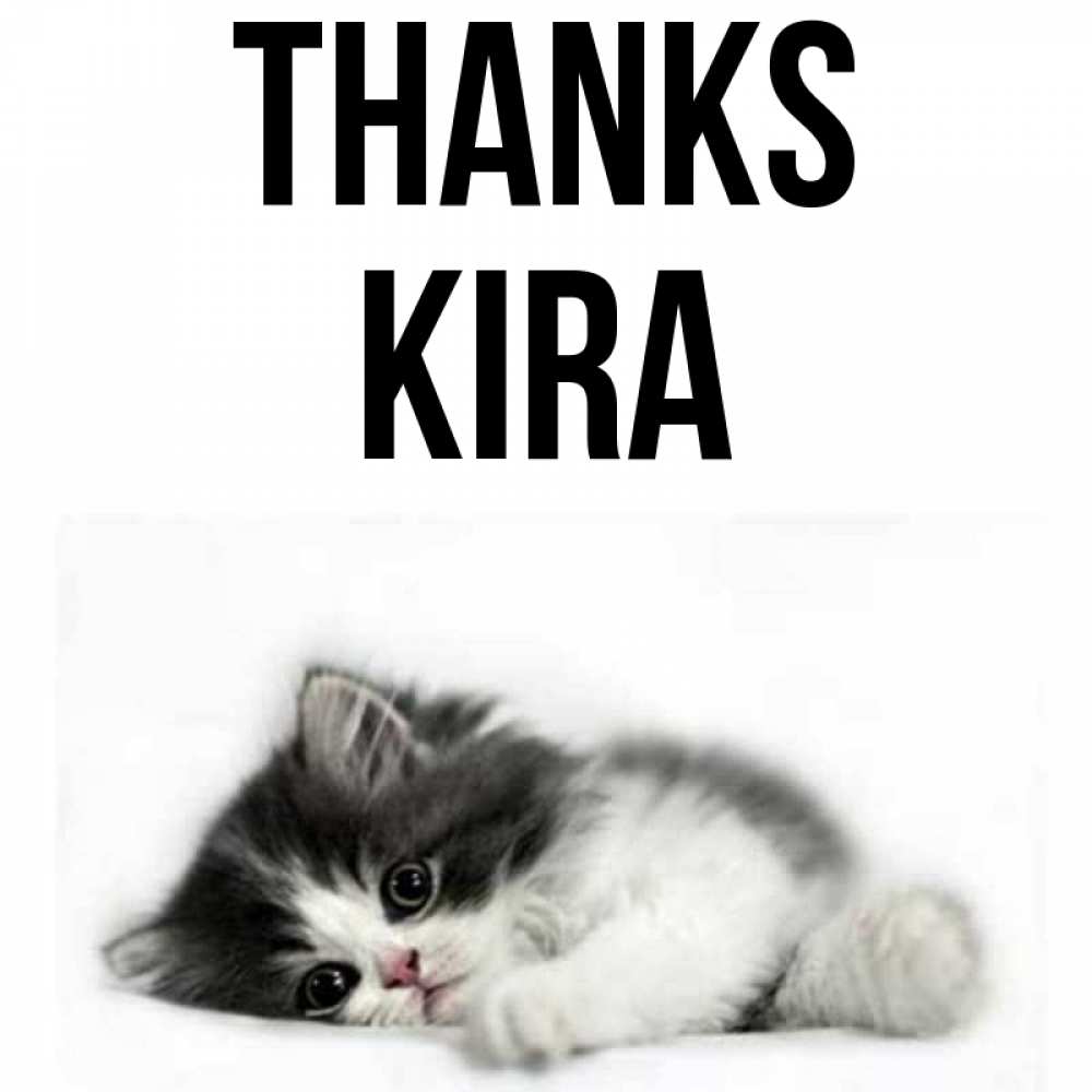 Greetings card с именем, Kira Thanks черный и белый кот Greetings with text for free download 