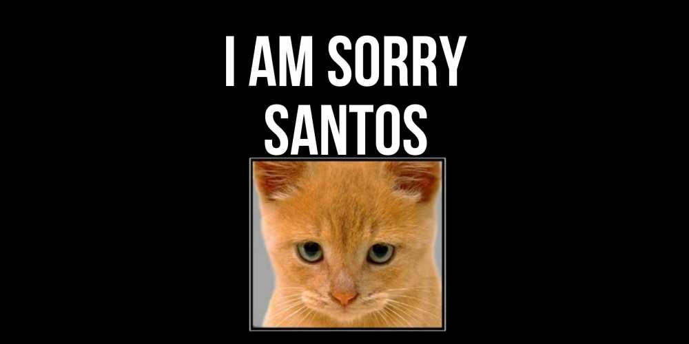 Greetings card с именем, Santos I am sorry рыжий грустный кот просит прощения Greetings with text for free download 